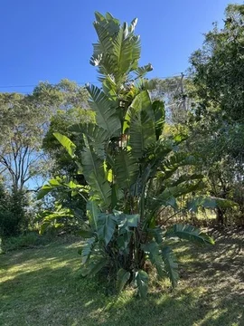 Image 16