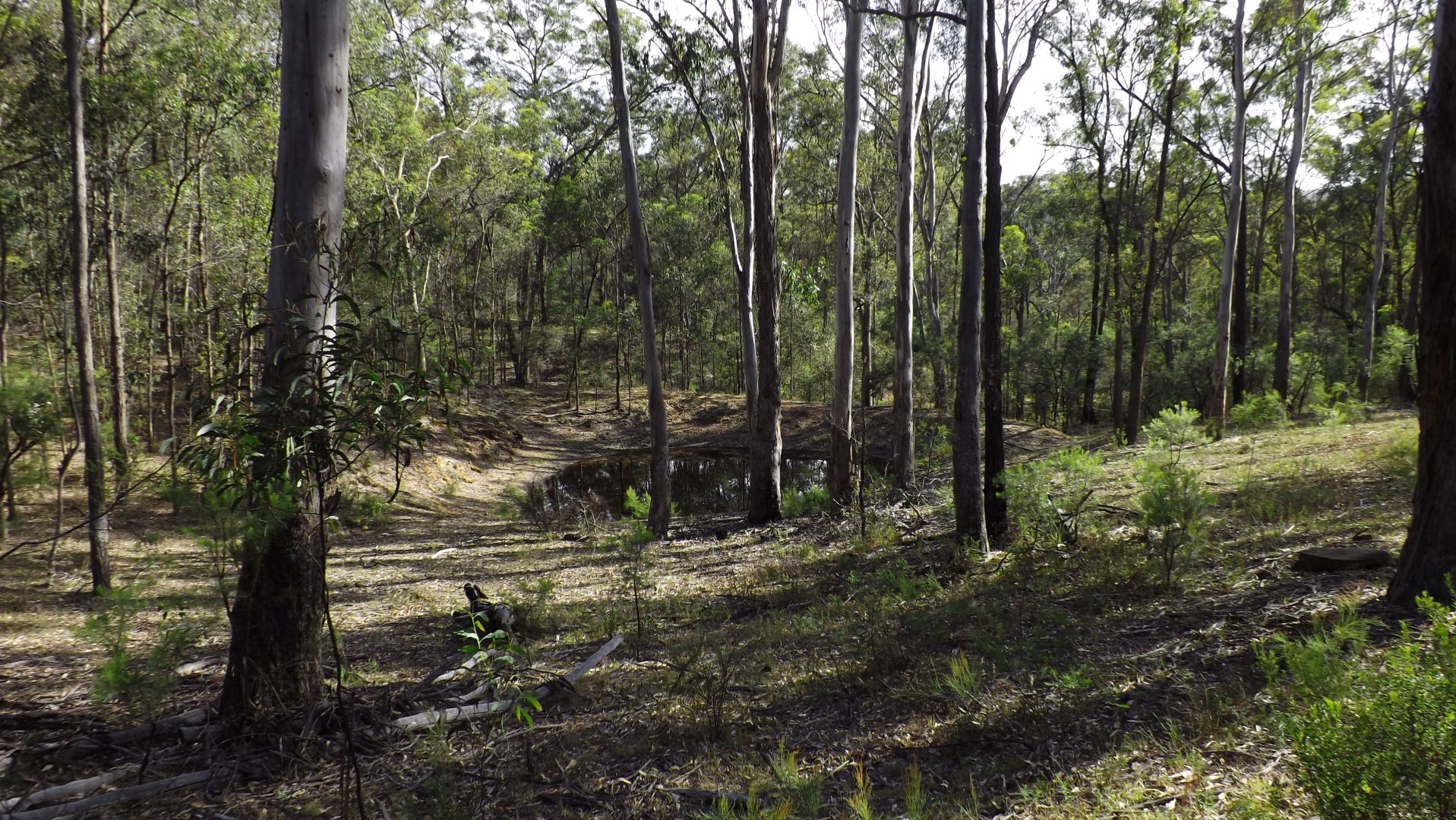 Lot 114 Commission Road, Howes Valley NSW 2330, Image 2