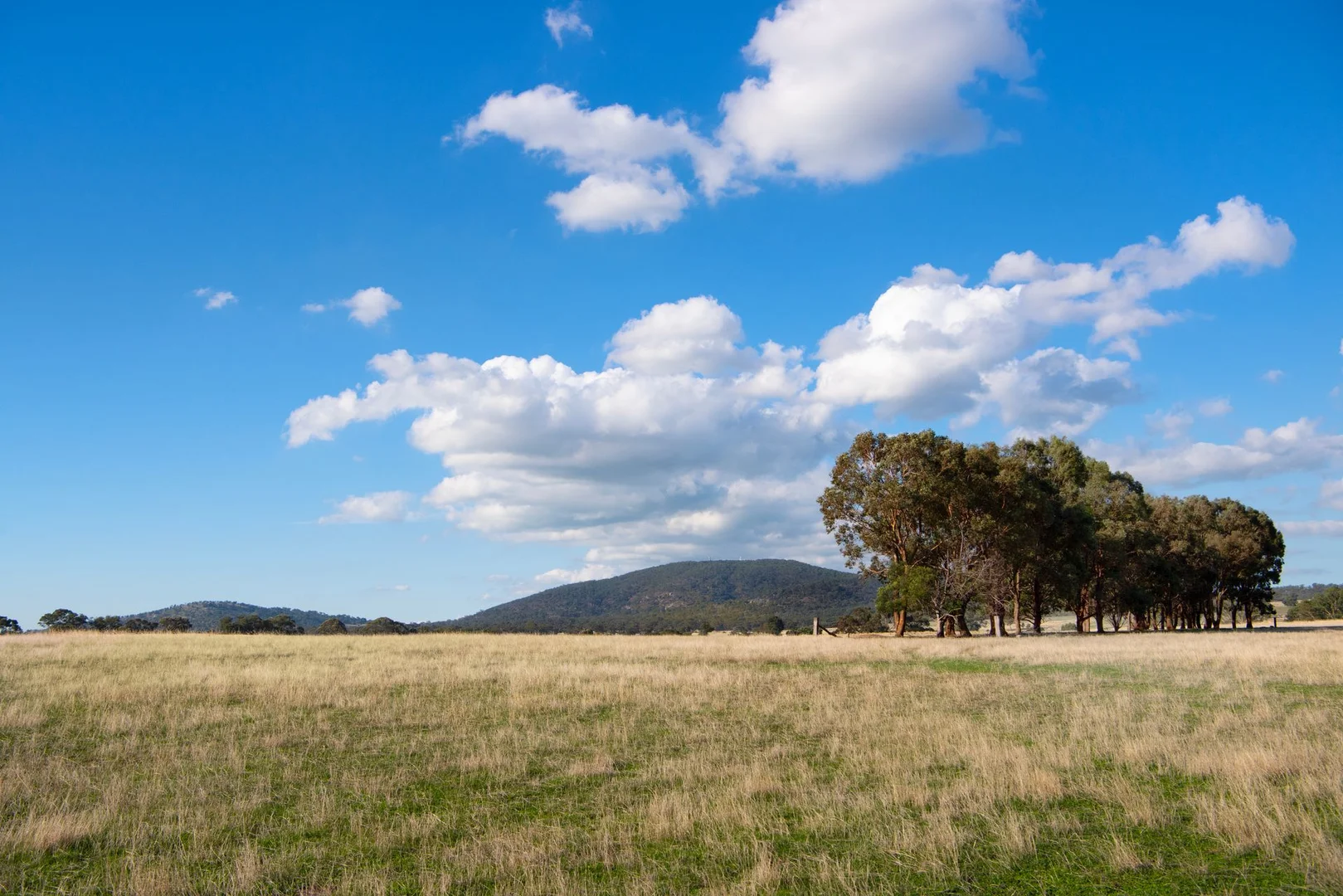 Additional image 5 of 135 Tarrengower School Road, Tarrengower VIC 3463