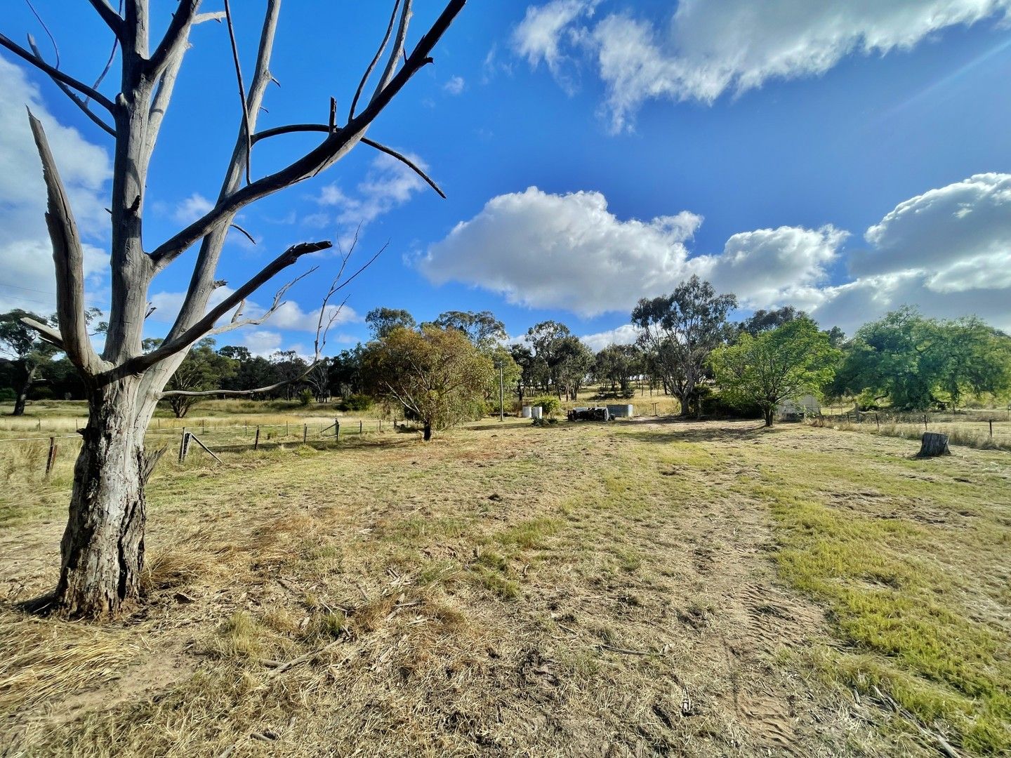 51 McGlynns Lane, Young NSW 2594, Image 0