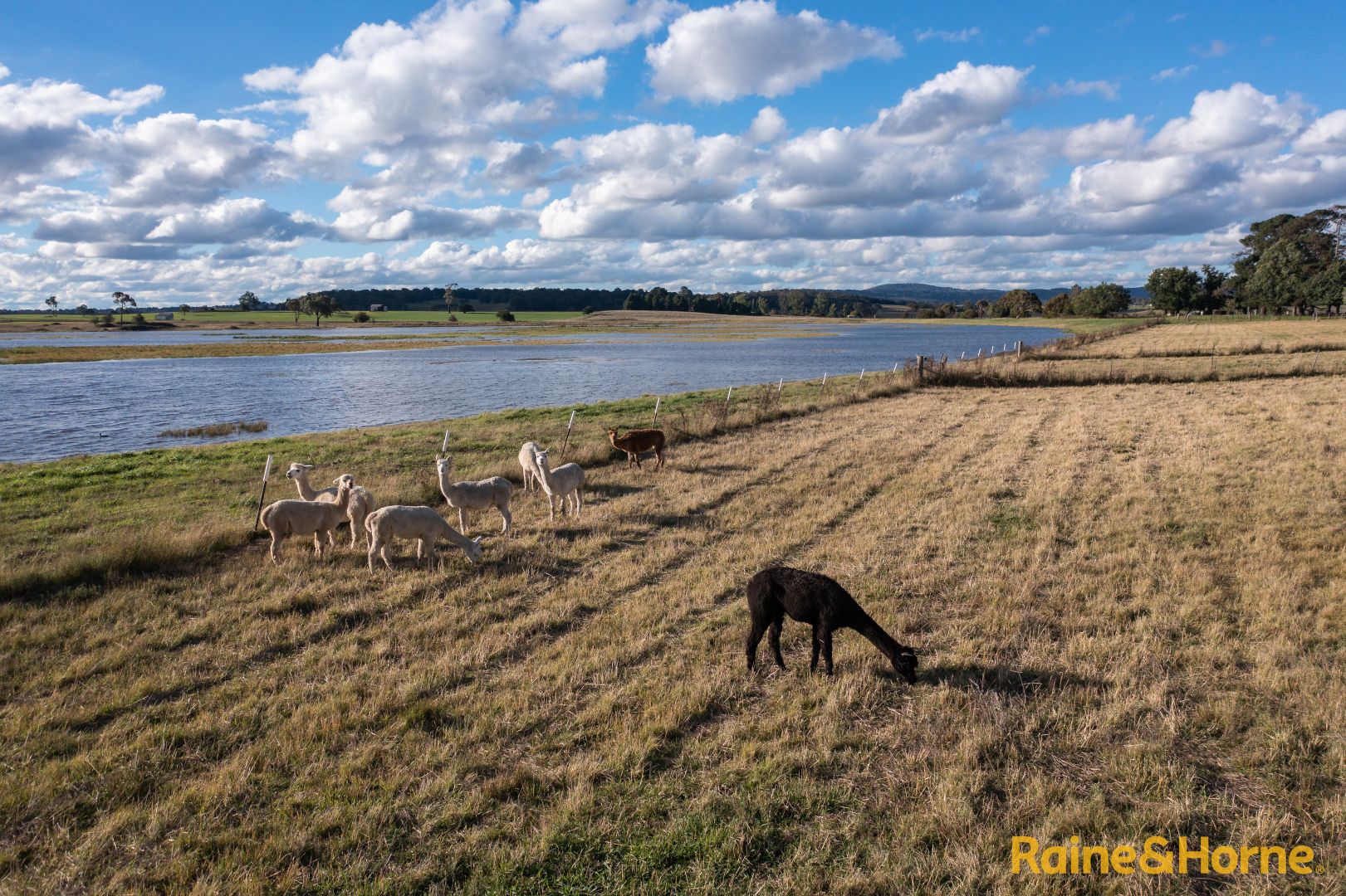 58 Mundays Lane, Armidale NSW 2350, Image 1