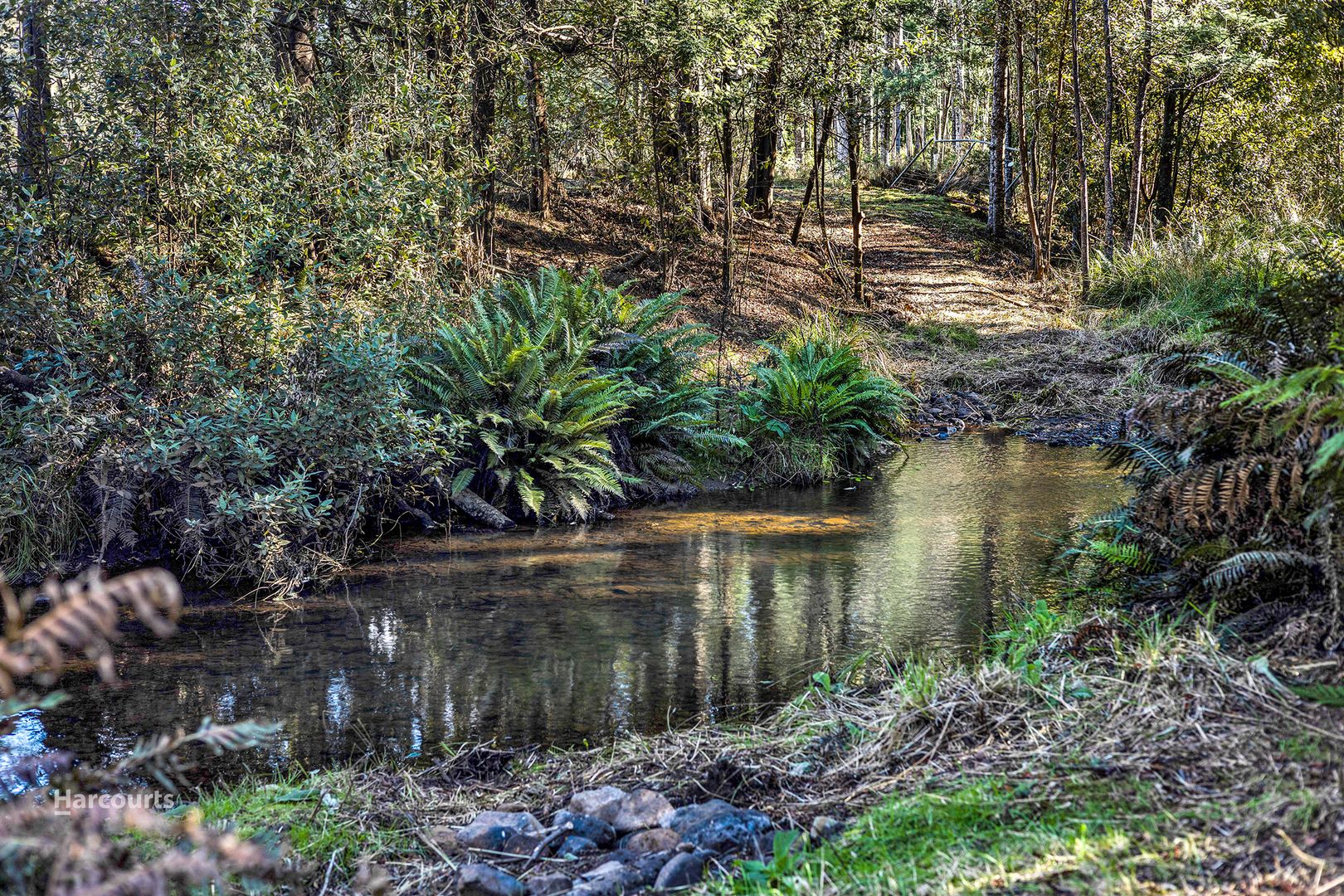 . Browns Lane, Penguin TAS 7316, Image 1