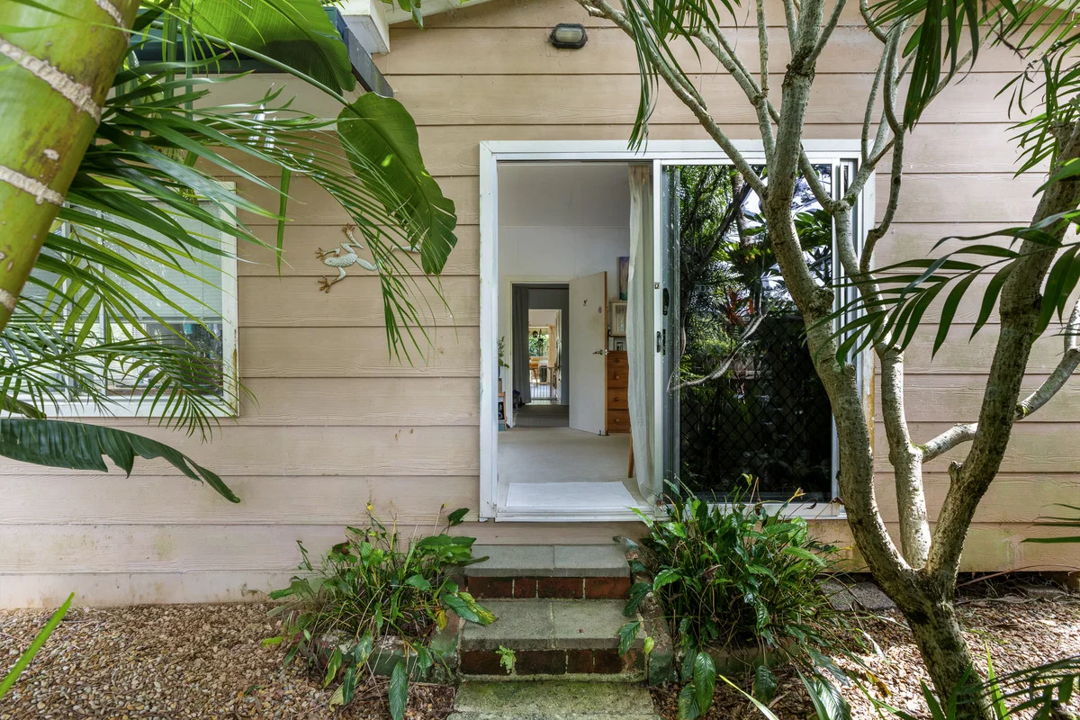 Image 7