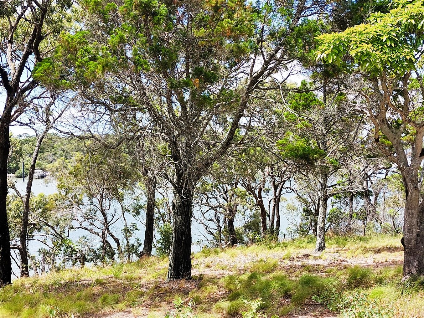 8 High Central Road, Macleay Island QLD 4184, Image 1