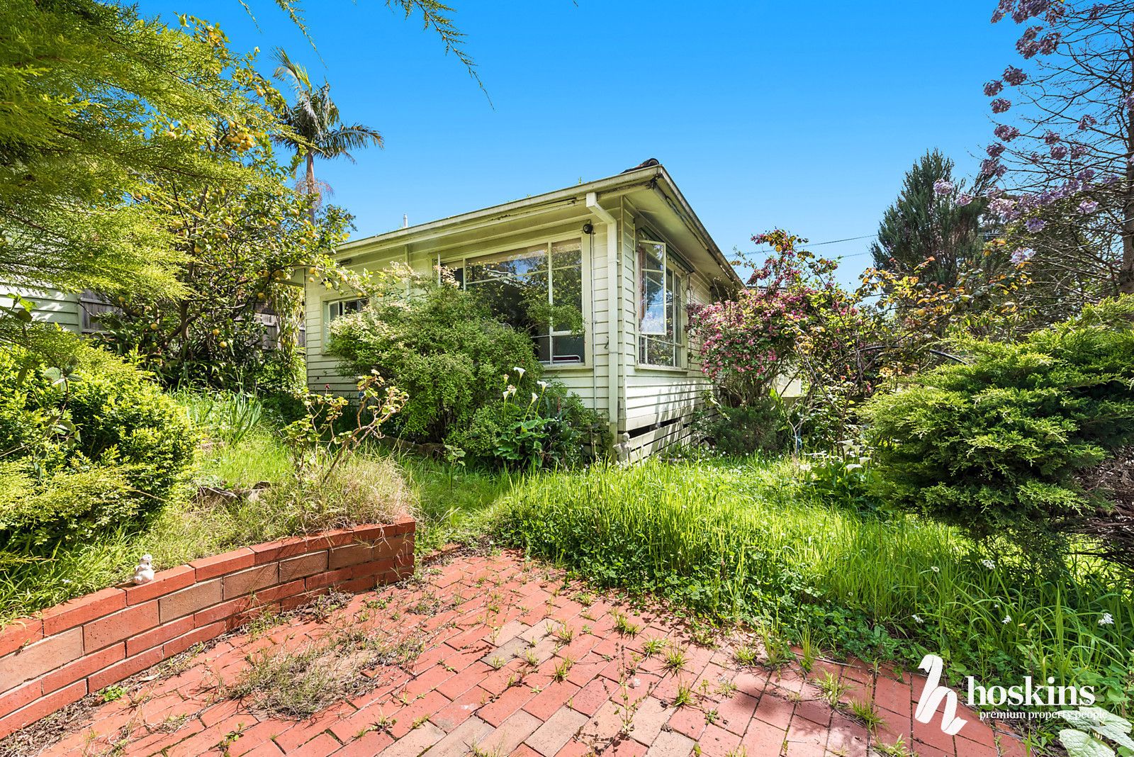 222 Maroondah Highway, Croydon VIC 3136, Image 1