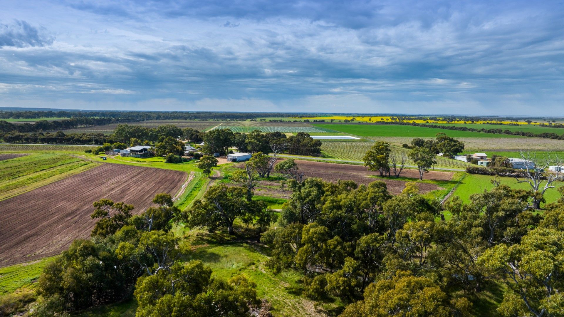 262 Lake Plains Road, Langhorne Creek SA 5255, Image 2