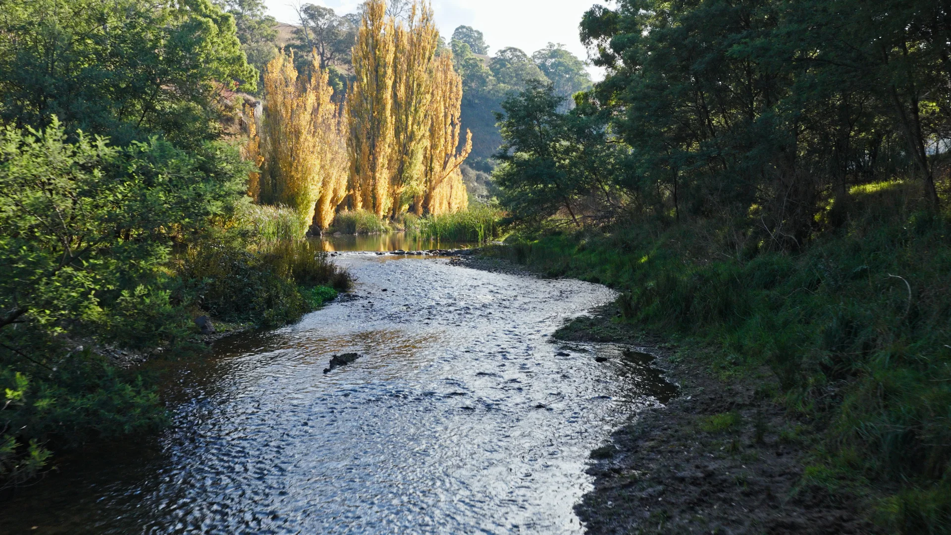 Image 17