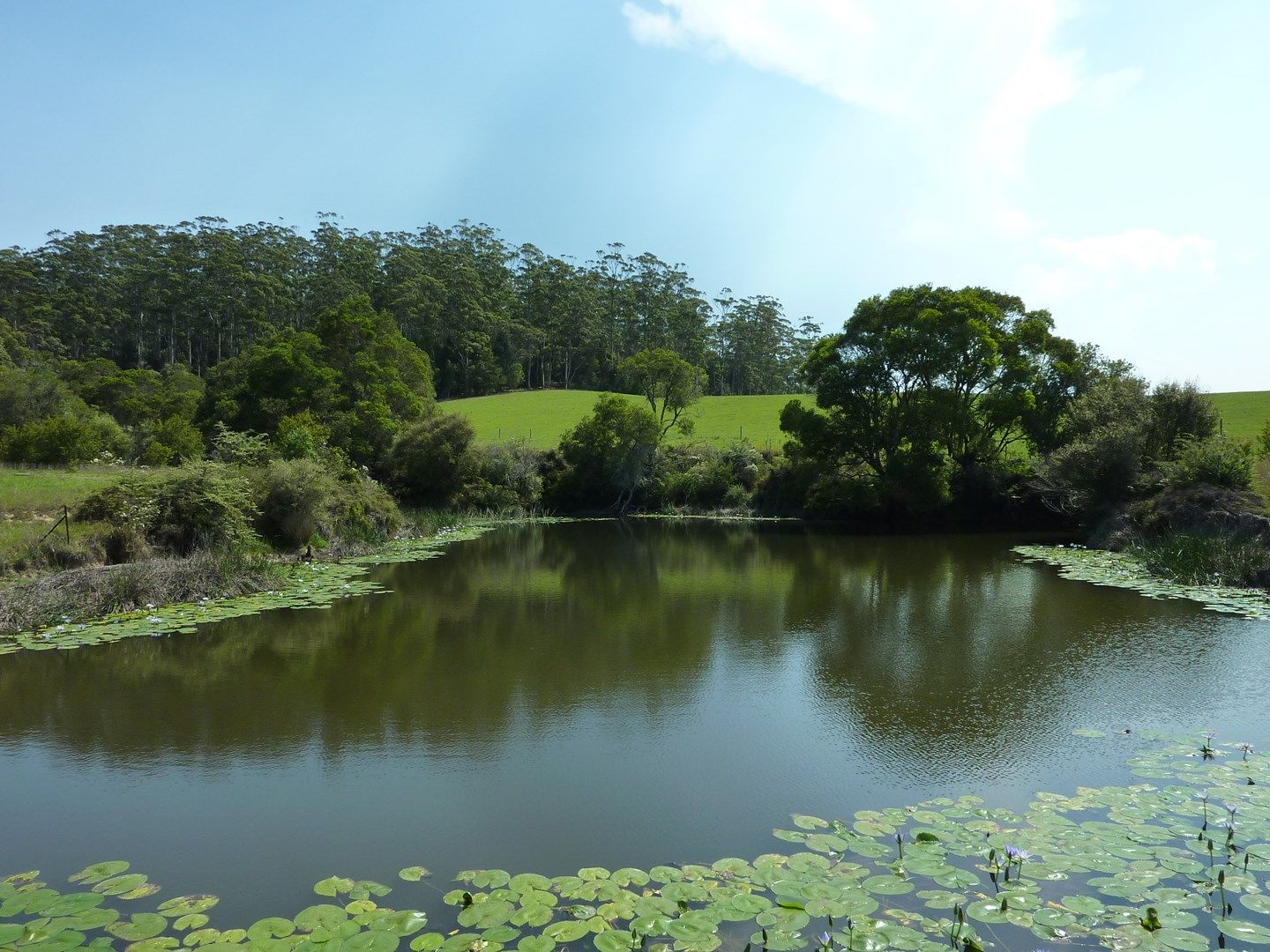 1590a Eastern Dorrigo Way, LOWANNA NSW 2450, Image 0