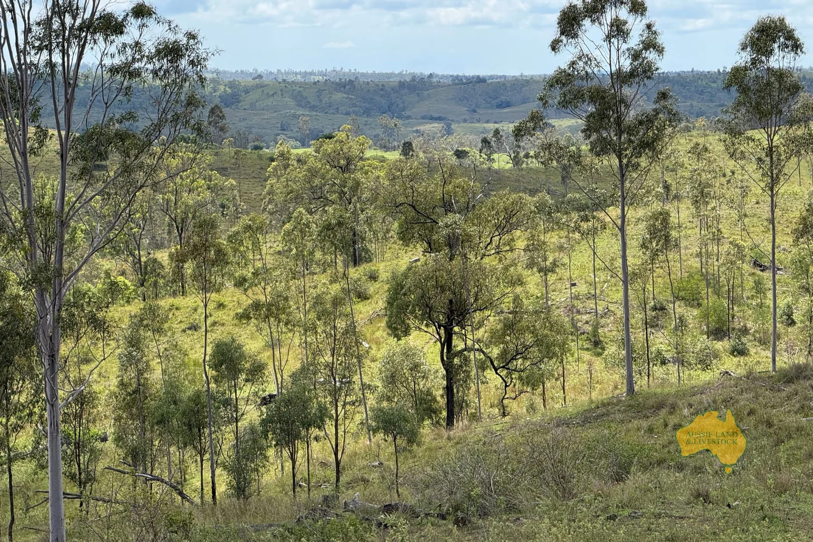 Additional image 7 of 527 KILLERS ROAD, New Moonta QLD 4671