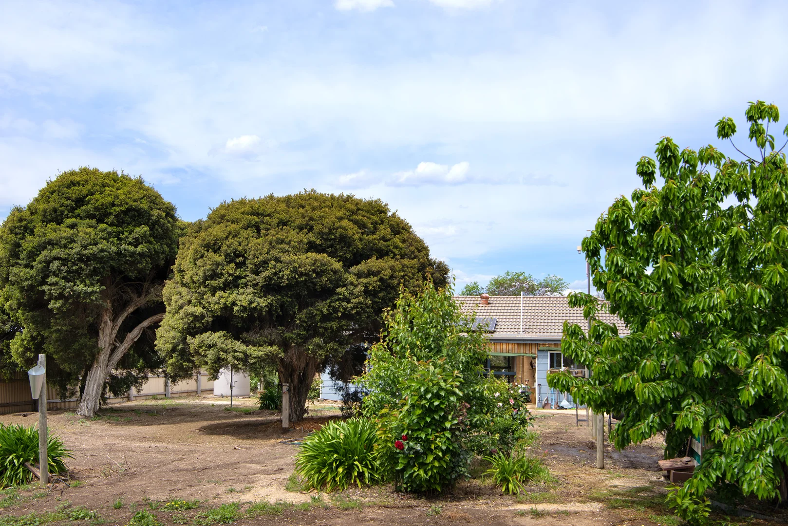 Image 10