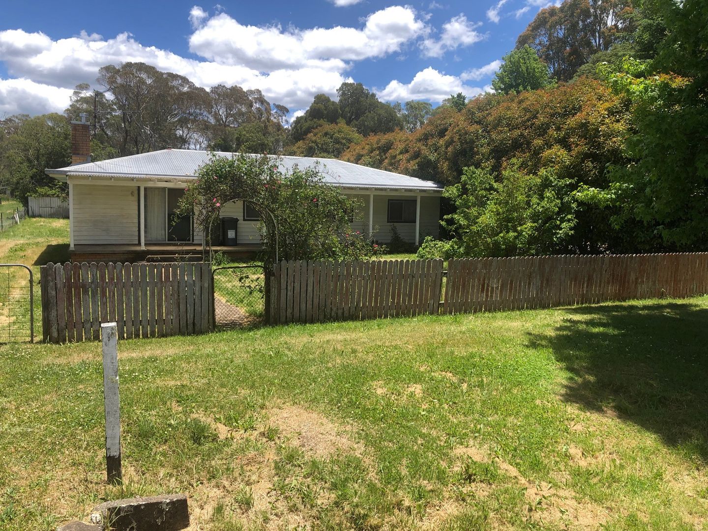 11684 Waterfall Way, Ebor NSW 2453, Image 1