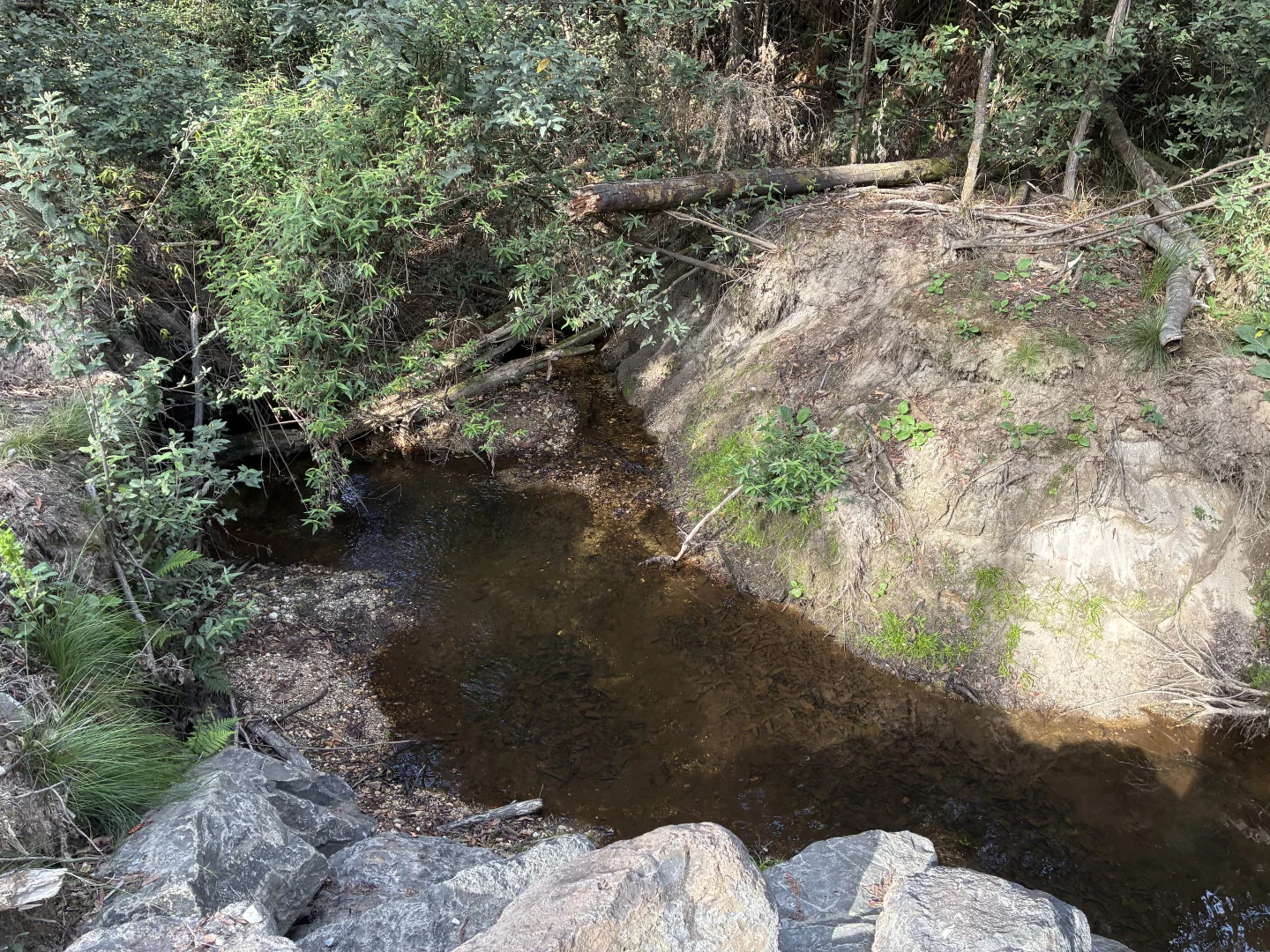 Additional image 12 of . Calder Road, Calder TAS 7325