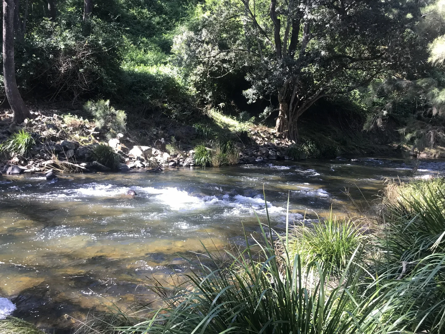 Image 12