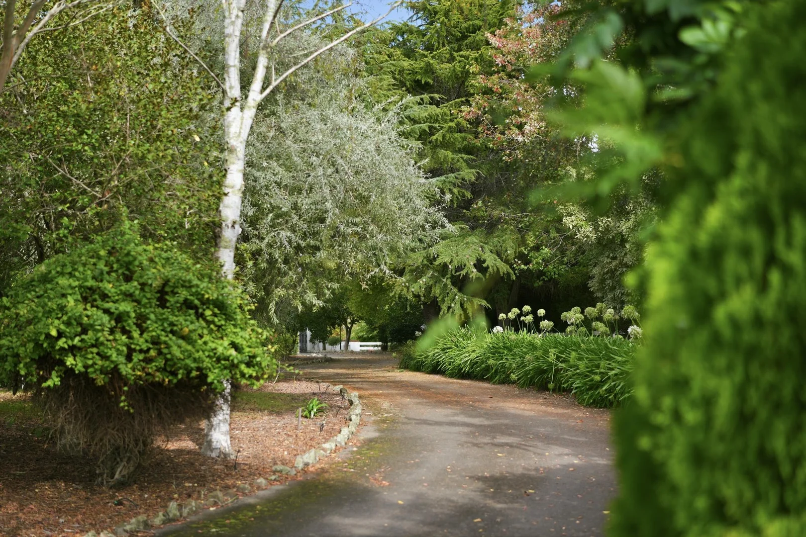 Additional image 2 of 21 Alpine Crescent, Grindelwald TAS 7277