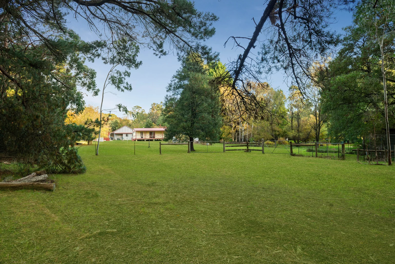 Image 15
