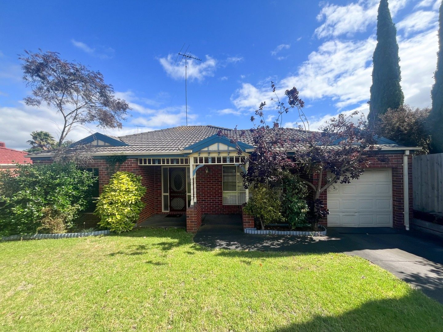 84 Shackleton Street, Belmont VIC 3216 House For Rent 430 Domain