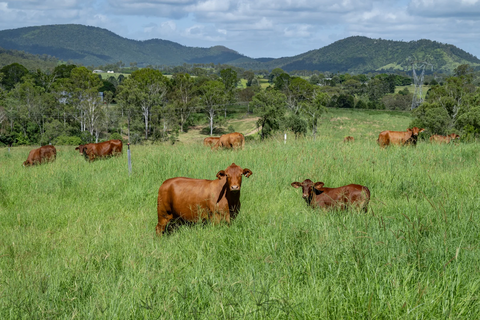Additional image 7 of 273 Mooloo Road, Mooloo QLD 4570