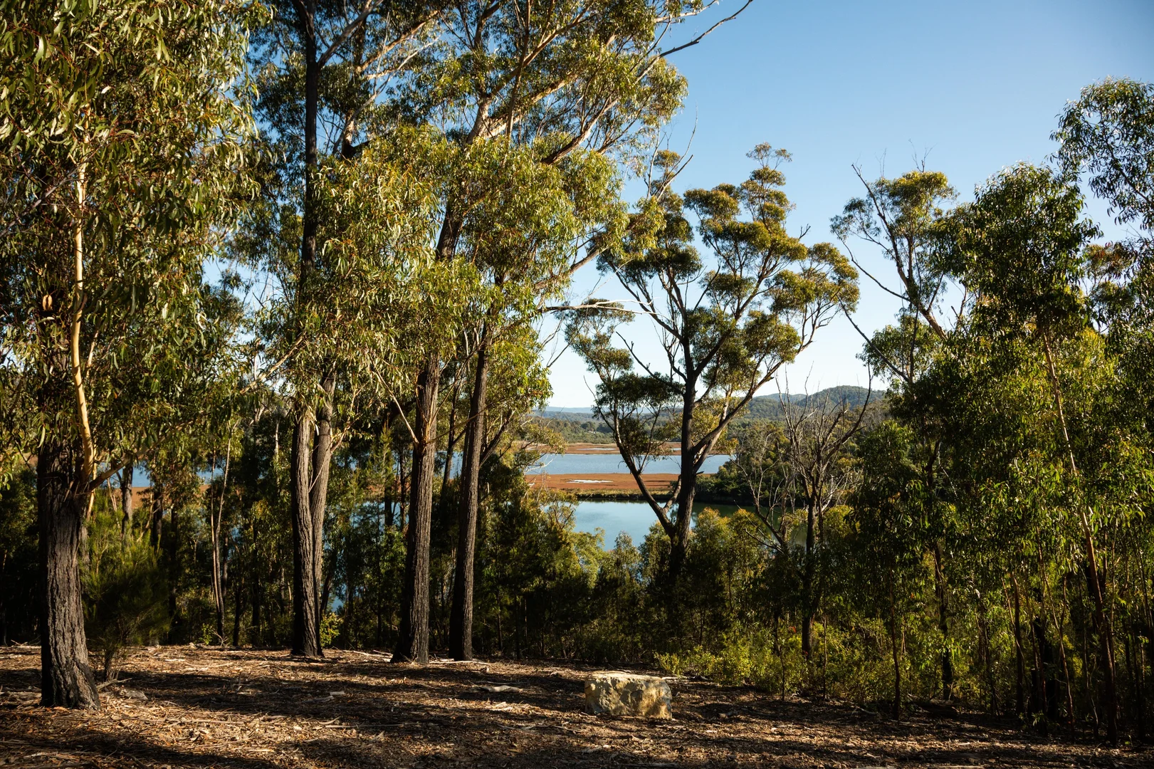 Image 8