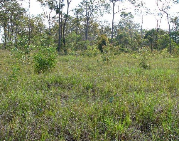 Lot 16 Fibrosa Court, Dunmora QLD 4650