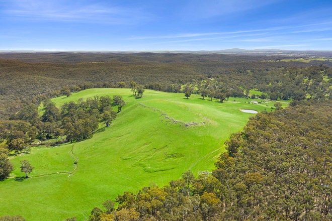 Picture of Lot 2, 790 Vaughan Springs Road, GLENLYON VIC 3461