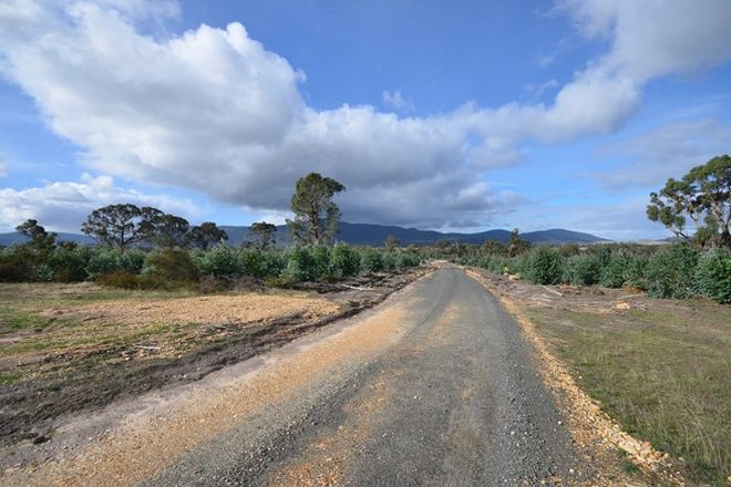 Picture of "Lewis" Lot 2 Buangor - Ben Nevis Road, BUANGOR VIC 3375