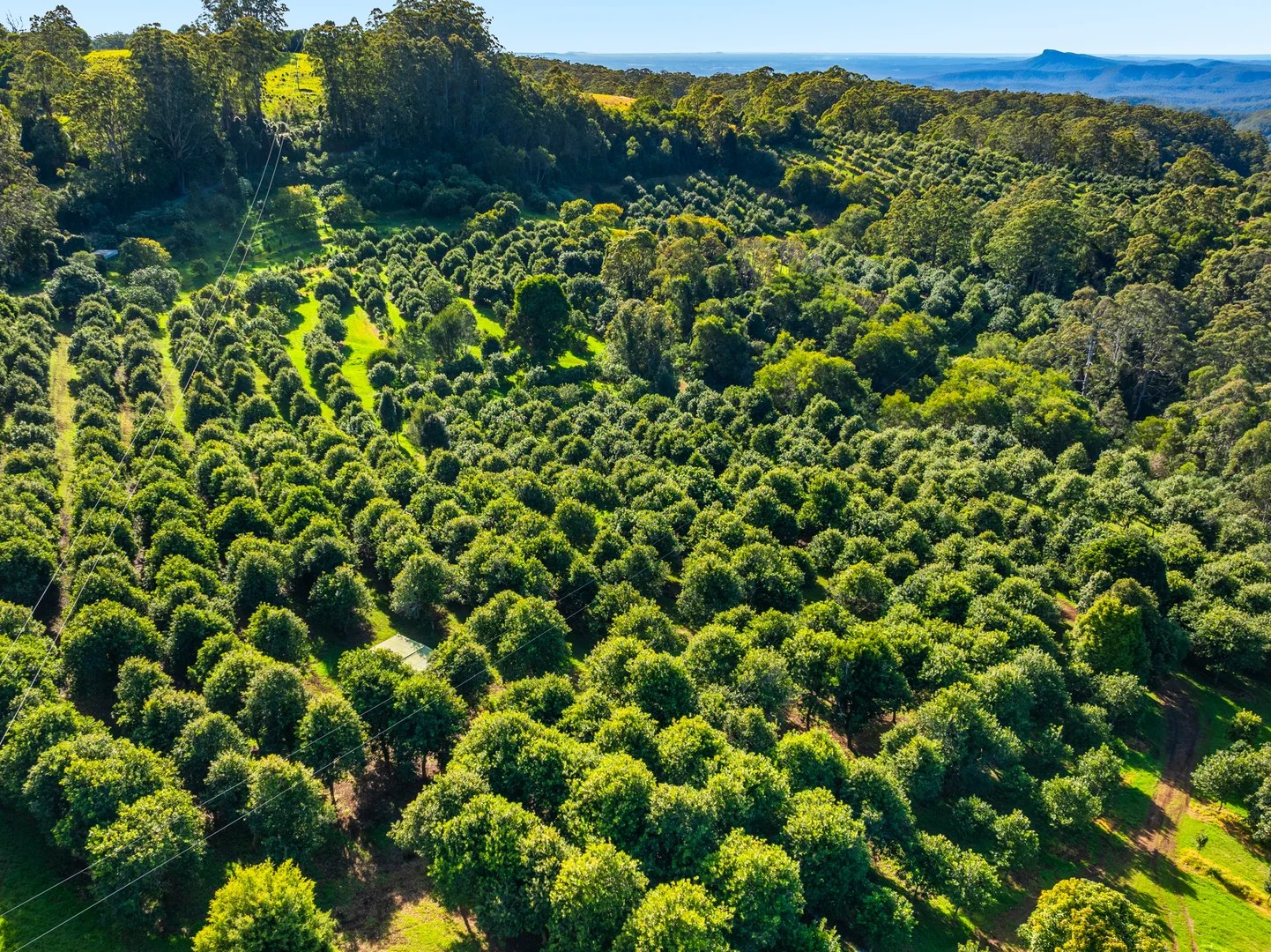 Additional image 19 of 480 Ponsfords Road, Comboyne NSW 2429