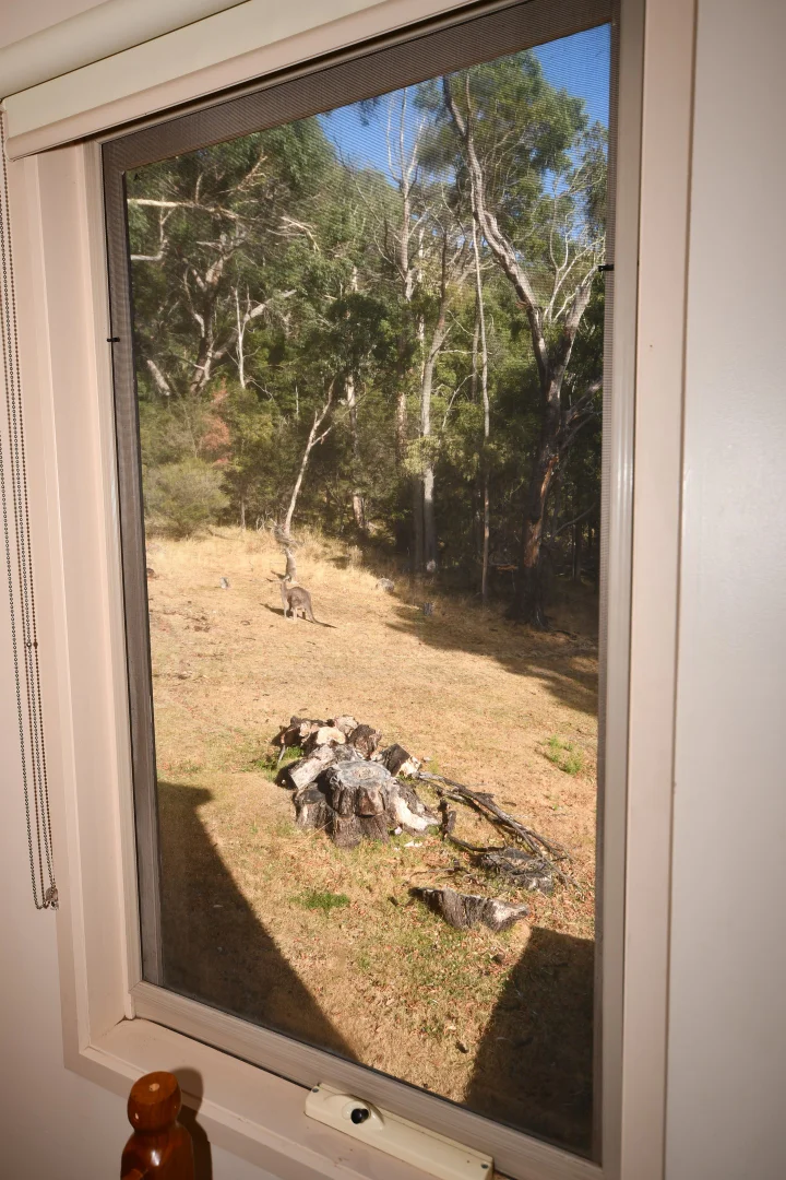 Additional image 8 of 5/8 Glen Street, Halls Gap VIC 3381