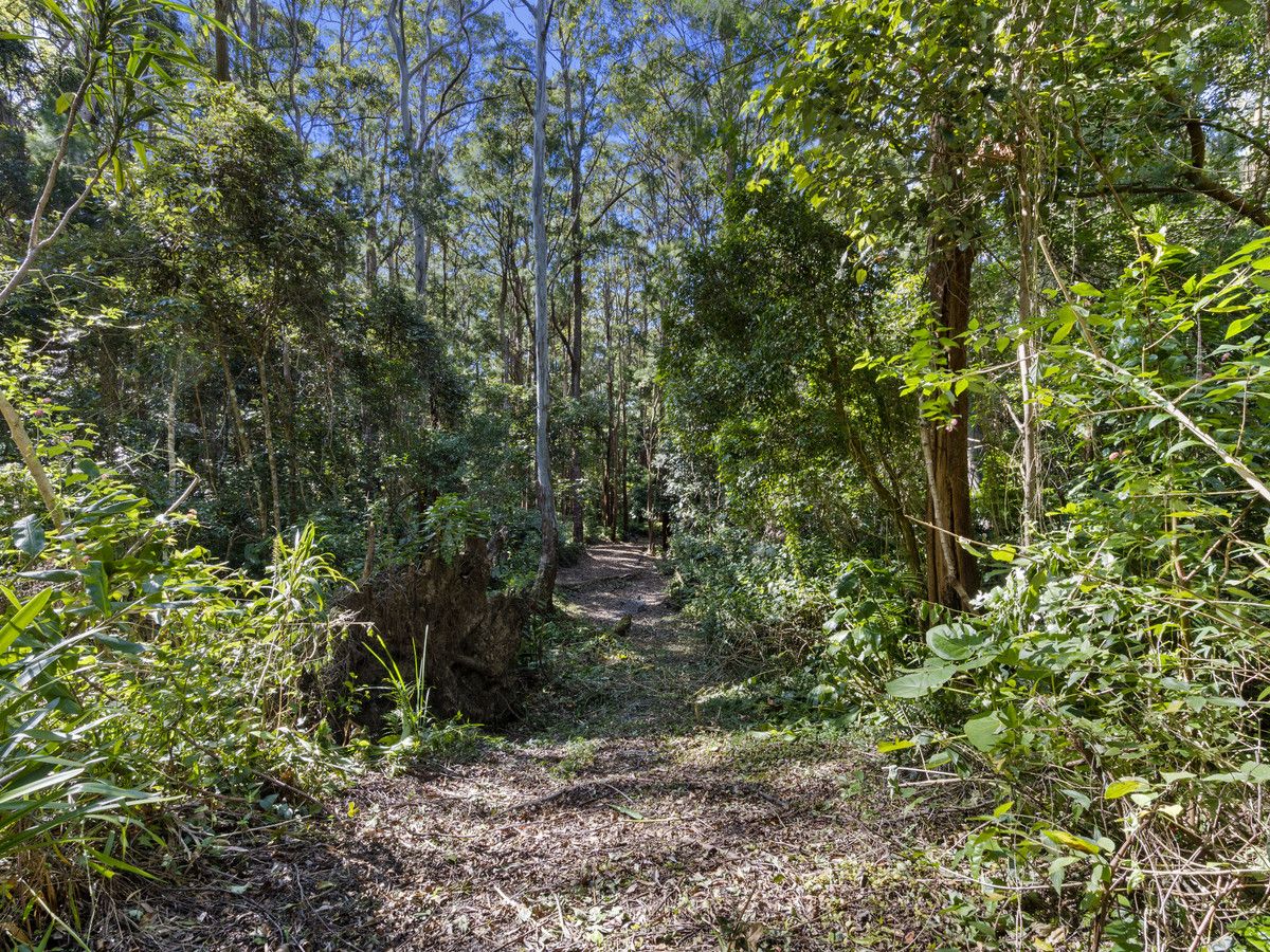 1943 Springbrook Road, Springbrook QLD 4213, Image 2