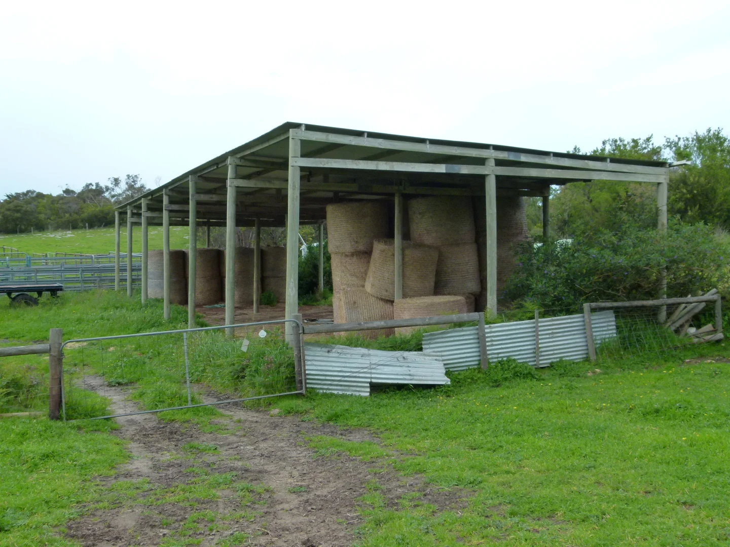 Image 14