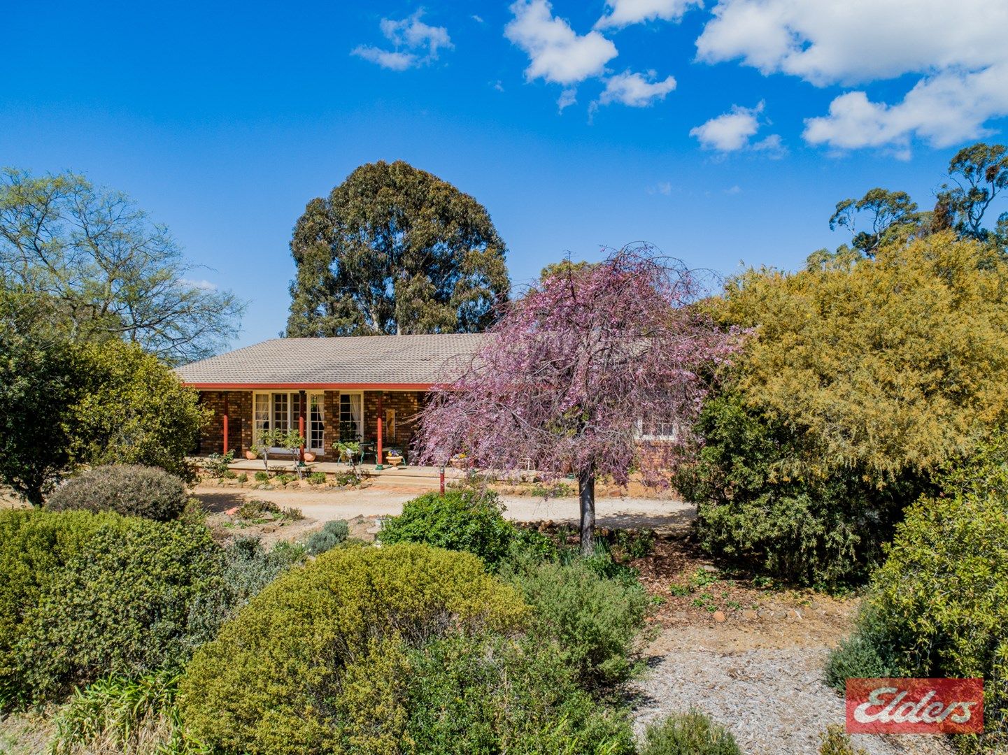 11 McCarthy Road, Armidale NSW 2350, Image 0