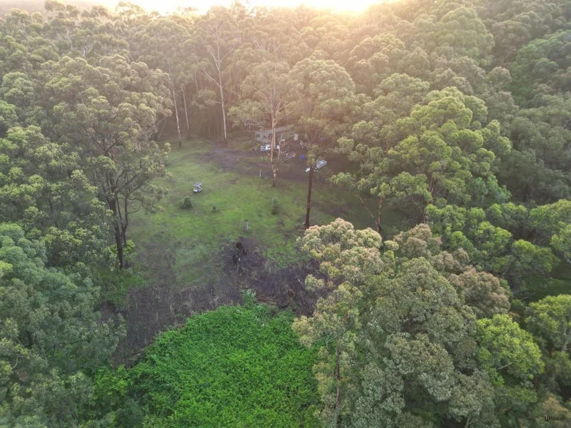 Additional image 13 of 1806 Gold Coast Springbrook Road, Springbrook QLD 4213