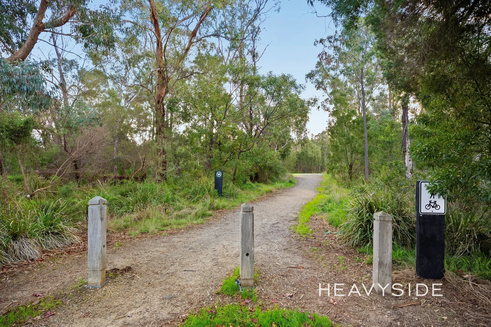 Image 15