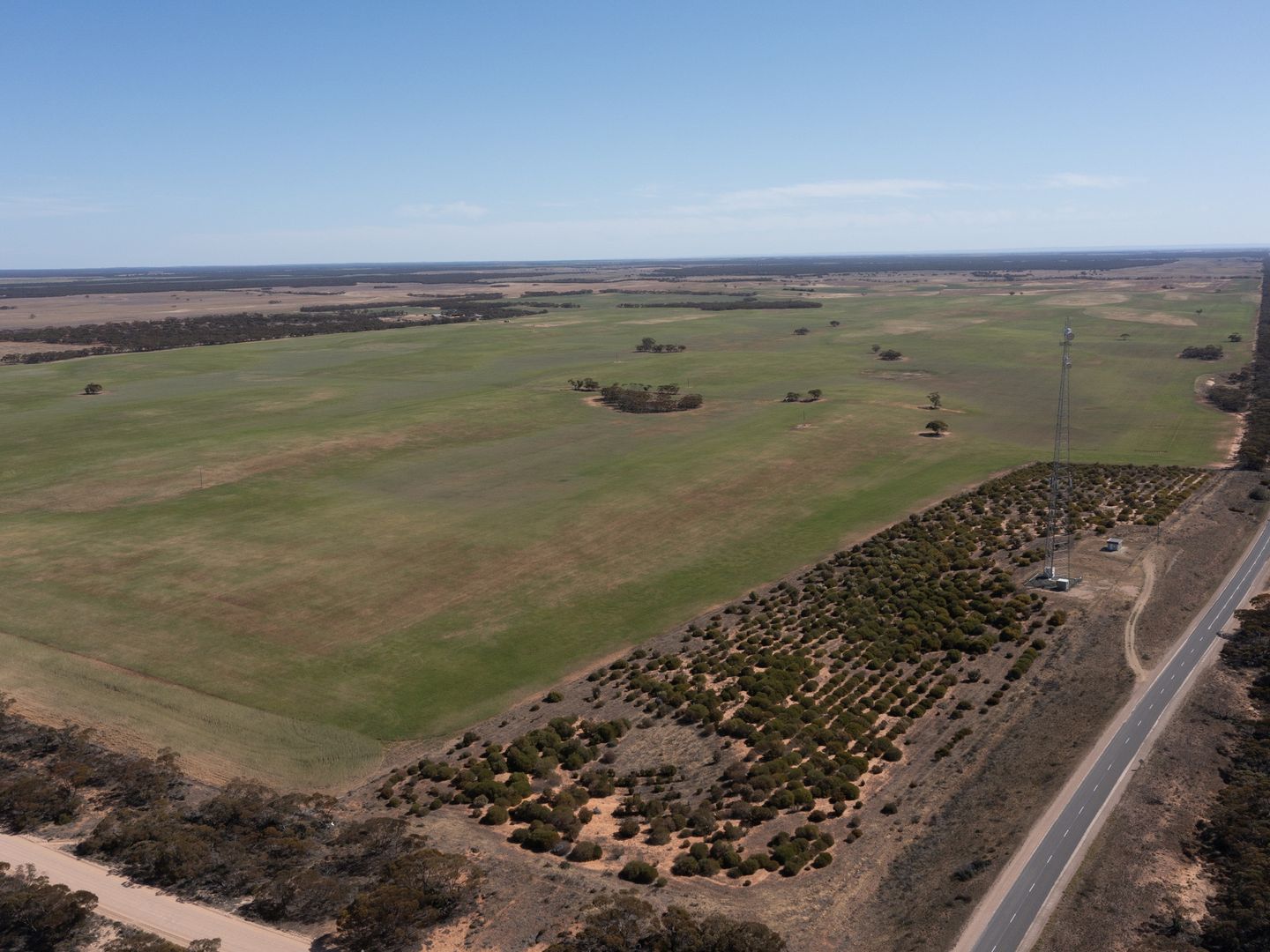 464 Eustice Road, Maggea SA 5311 House for Sale Domain