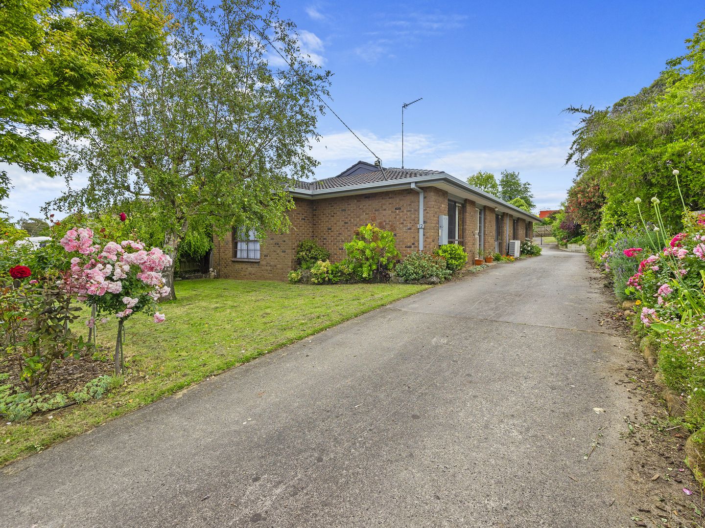 12 Young Street, Leongatha Property History & Address Research Domain
