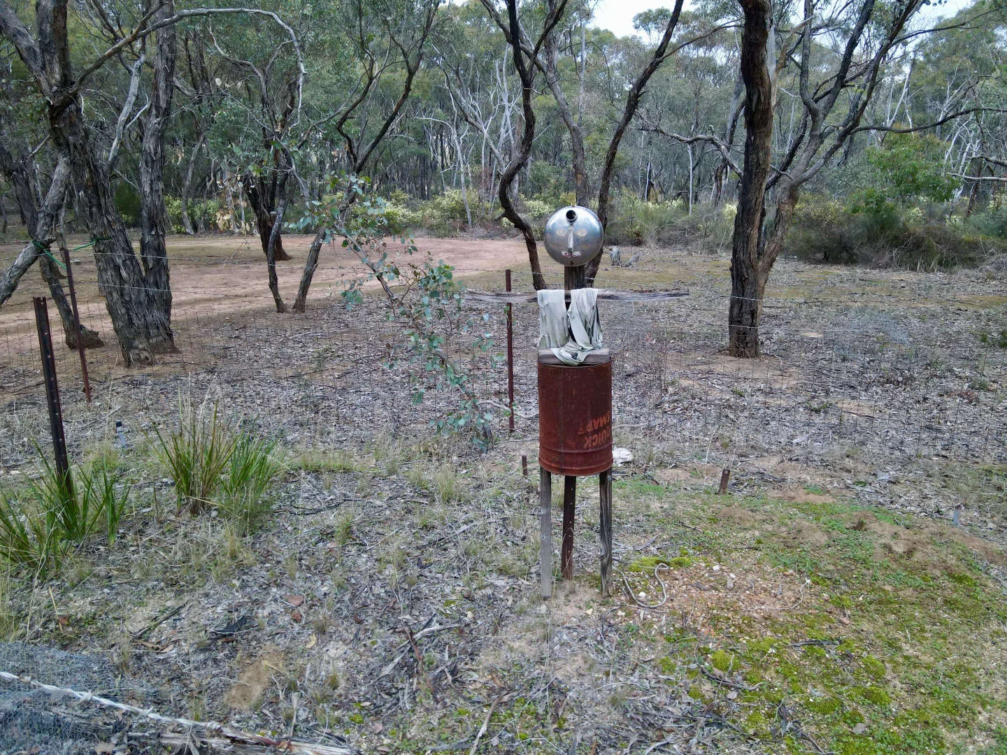 Image 8