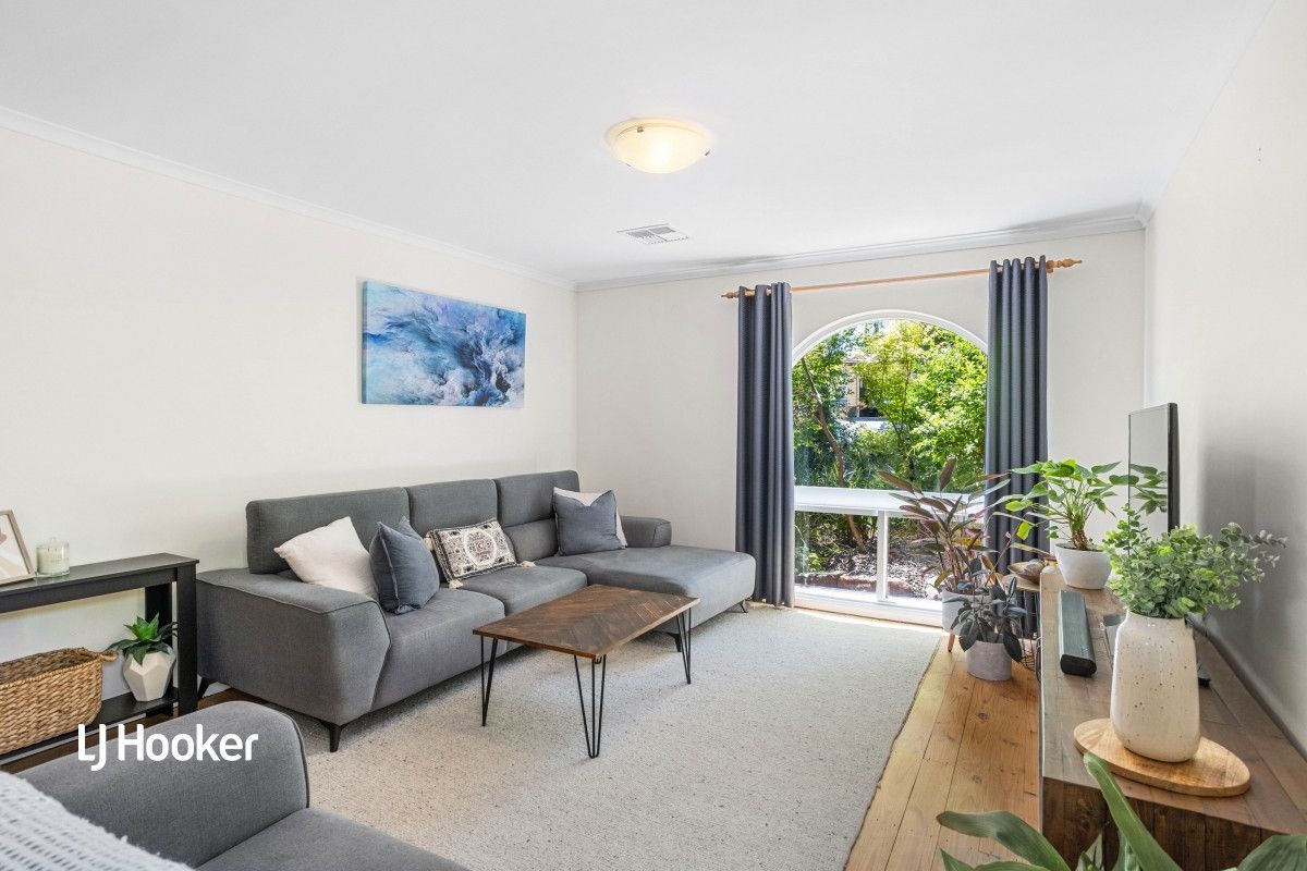 40 Waitara Road, Banksia Park SA 5091, Image 2