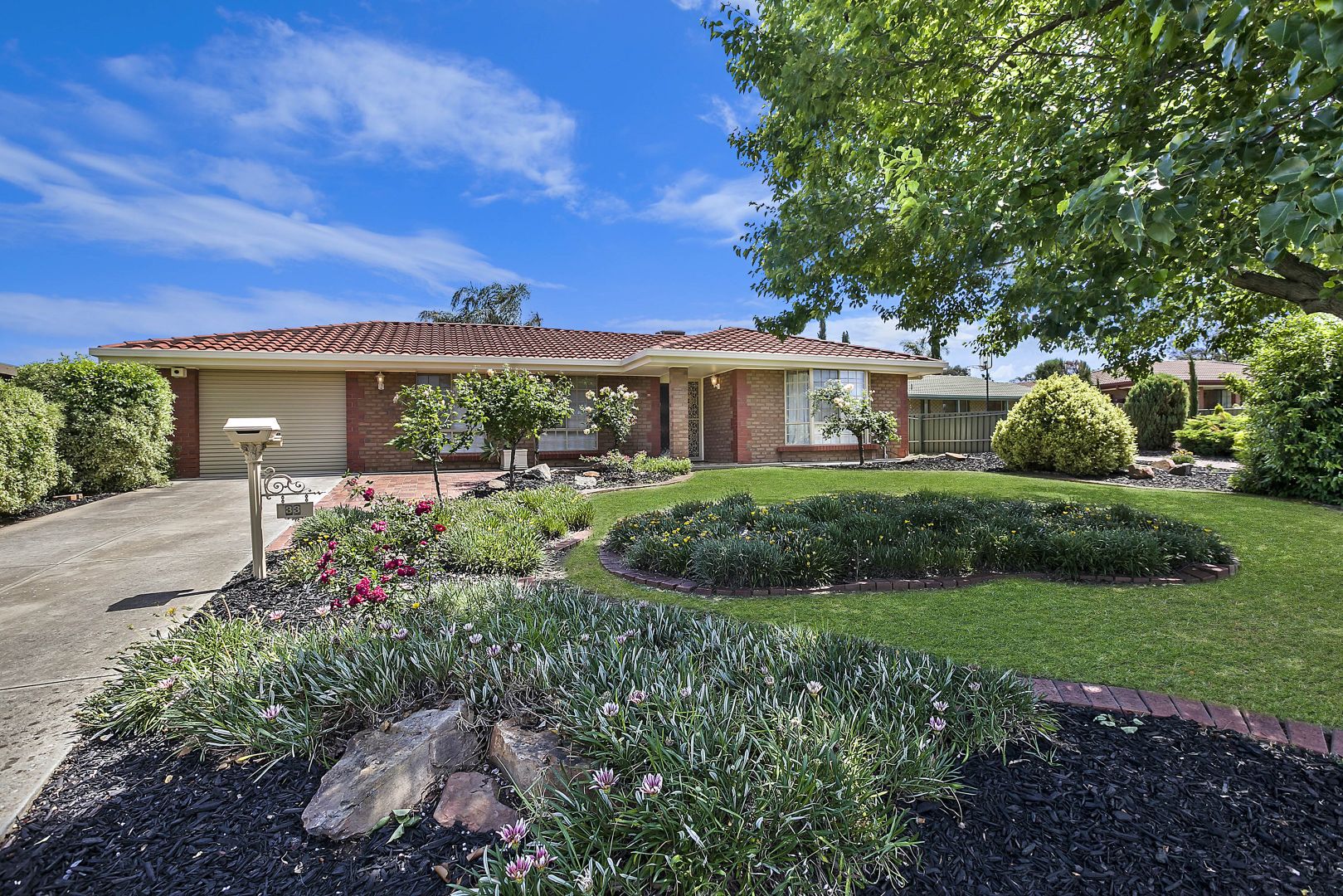 33 Rose Crescent, Modbury Nort Property History & Address Research