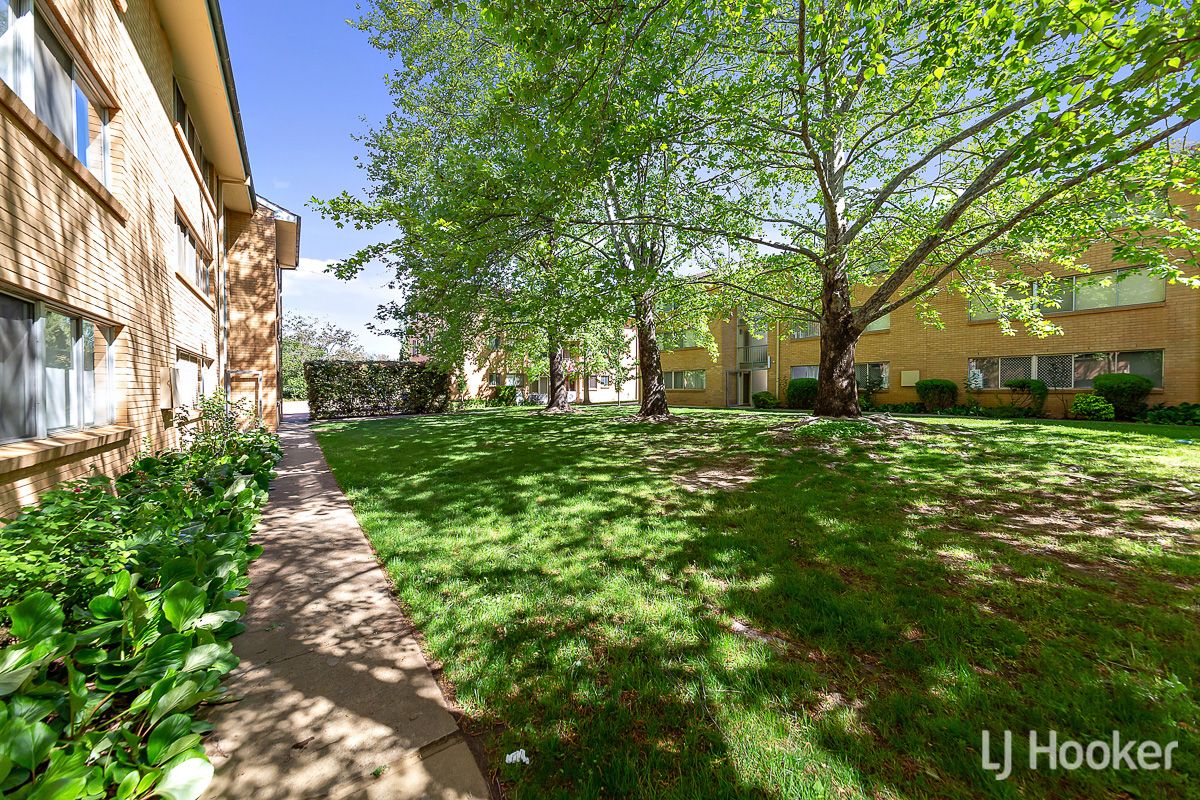 30/41 David Street, O'Connor ACT 2602 Apartment For Rent Domain