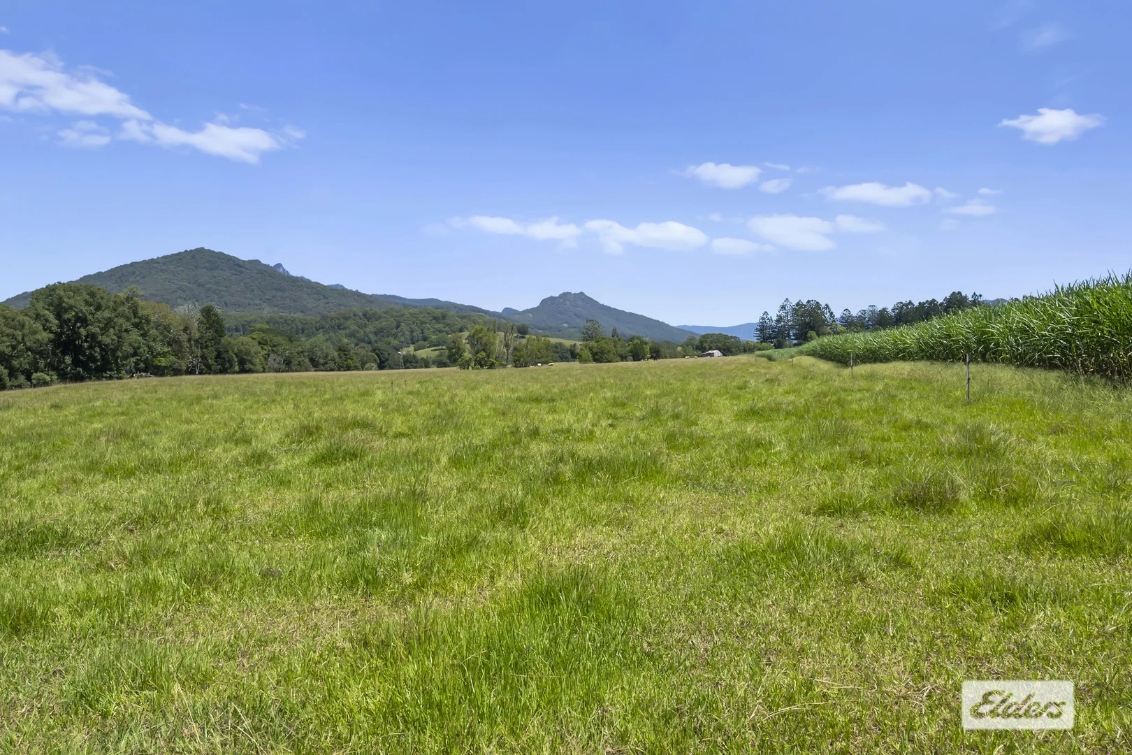 Additional image 35 of 225 Tyalgum Road, Eungella NSW 2484