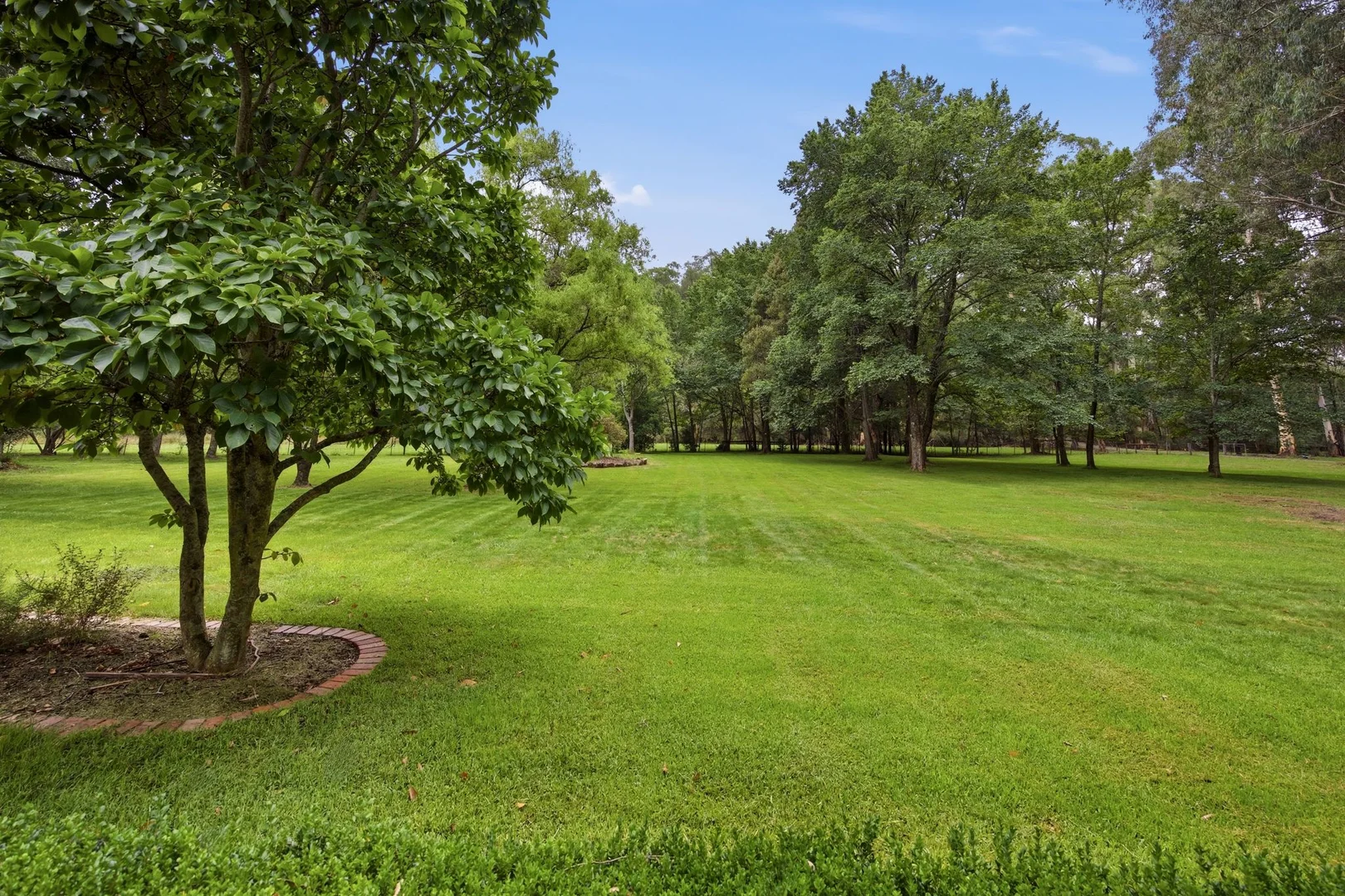 Additional image 24 of 2055 Woods Point Road, Reefton VIC 3799