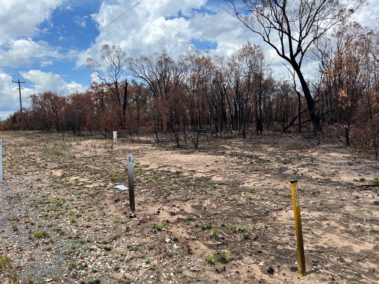 L31 ChinchillaTara Road, Tara QLD 4421 House for Sale Domain