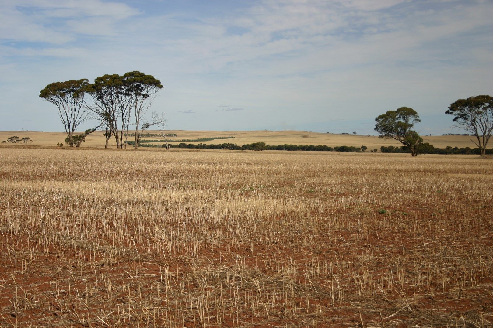 Behn Ord Road, Collanilling WA 6315, Image 0