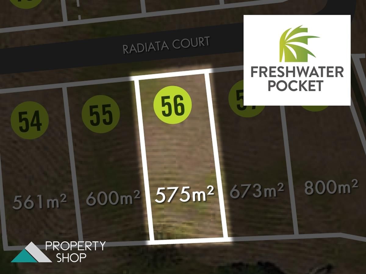 8 Radiata Court, Brinsmead QLD 4870, Image 1