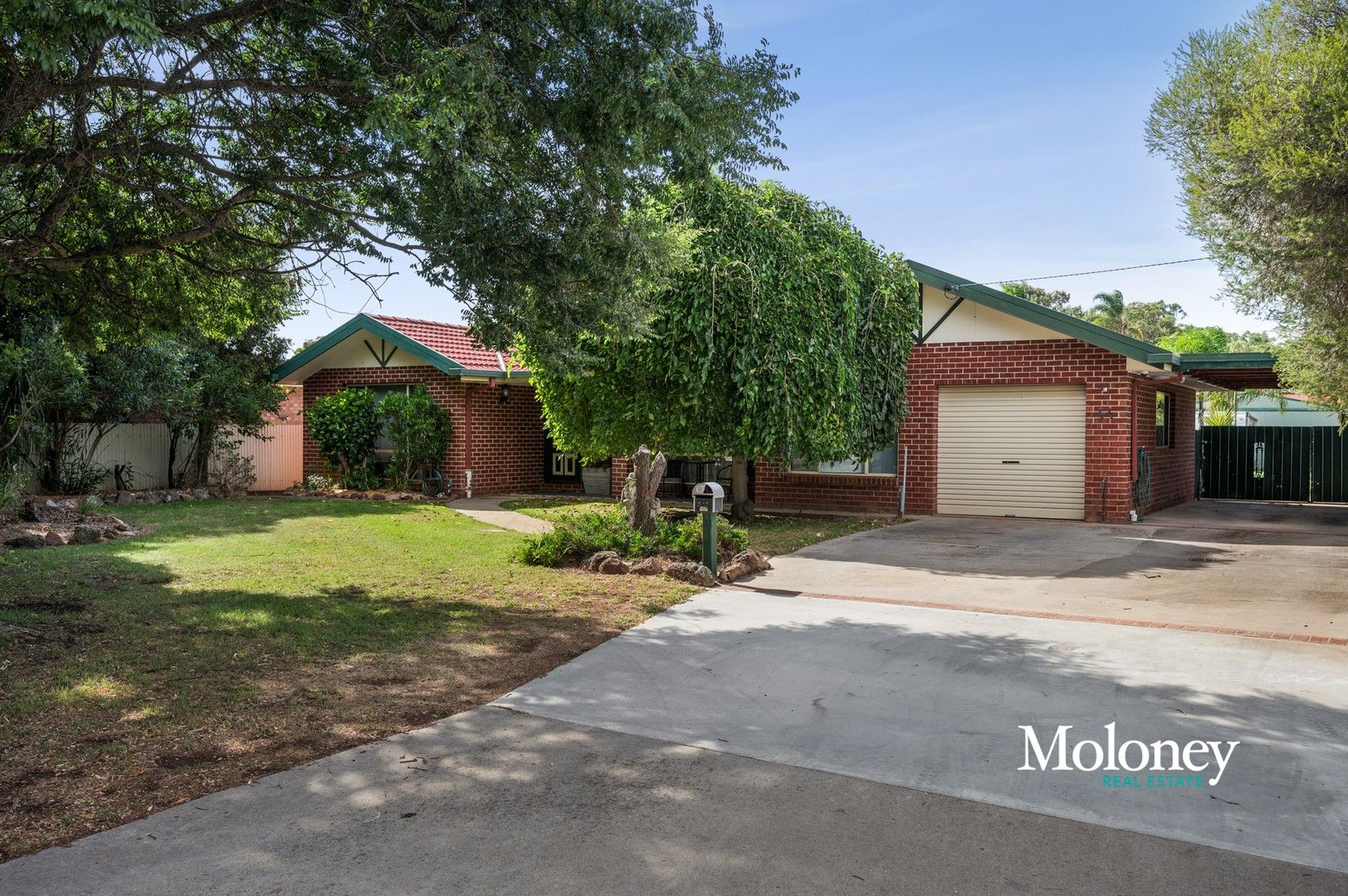 44 Martin Street, Corowa NSW 2646, Image 0