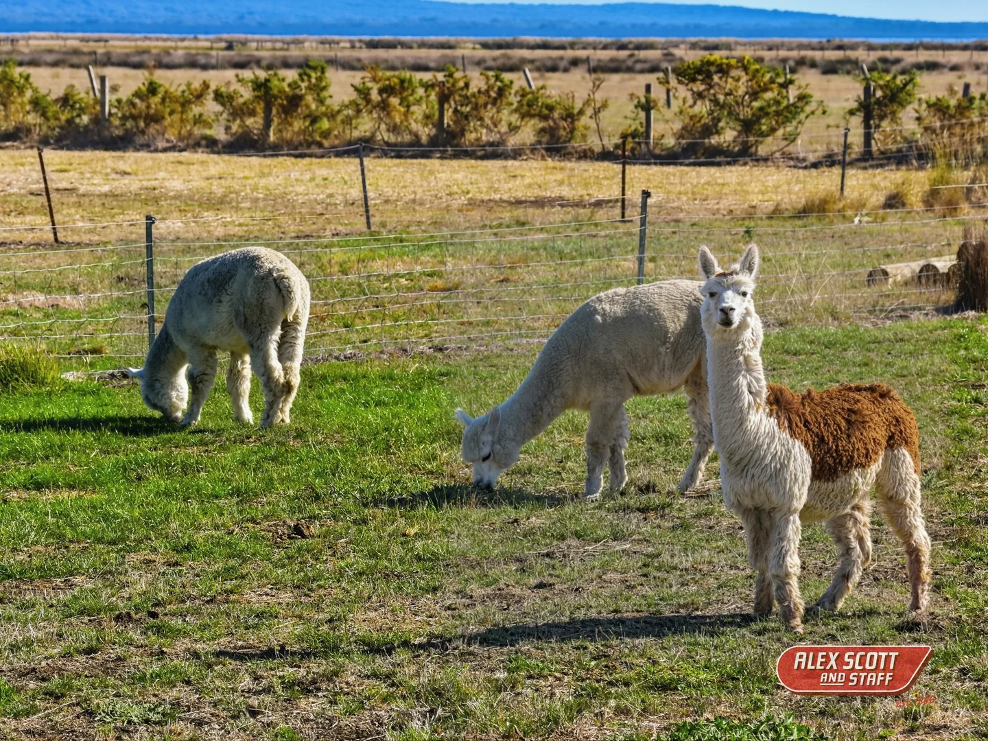 Additional image 27 of 360 Stanlake Road, Lang Lang VIC 3984