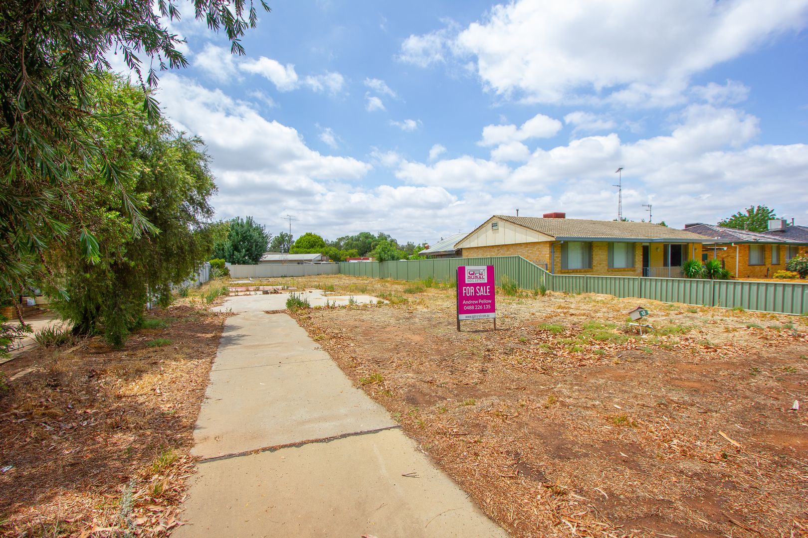 12 Canal Street, Leeton NSW 2705, Image 1