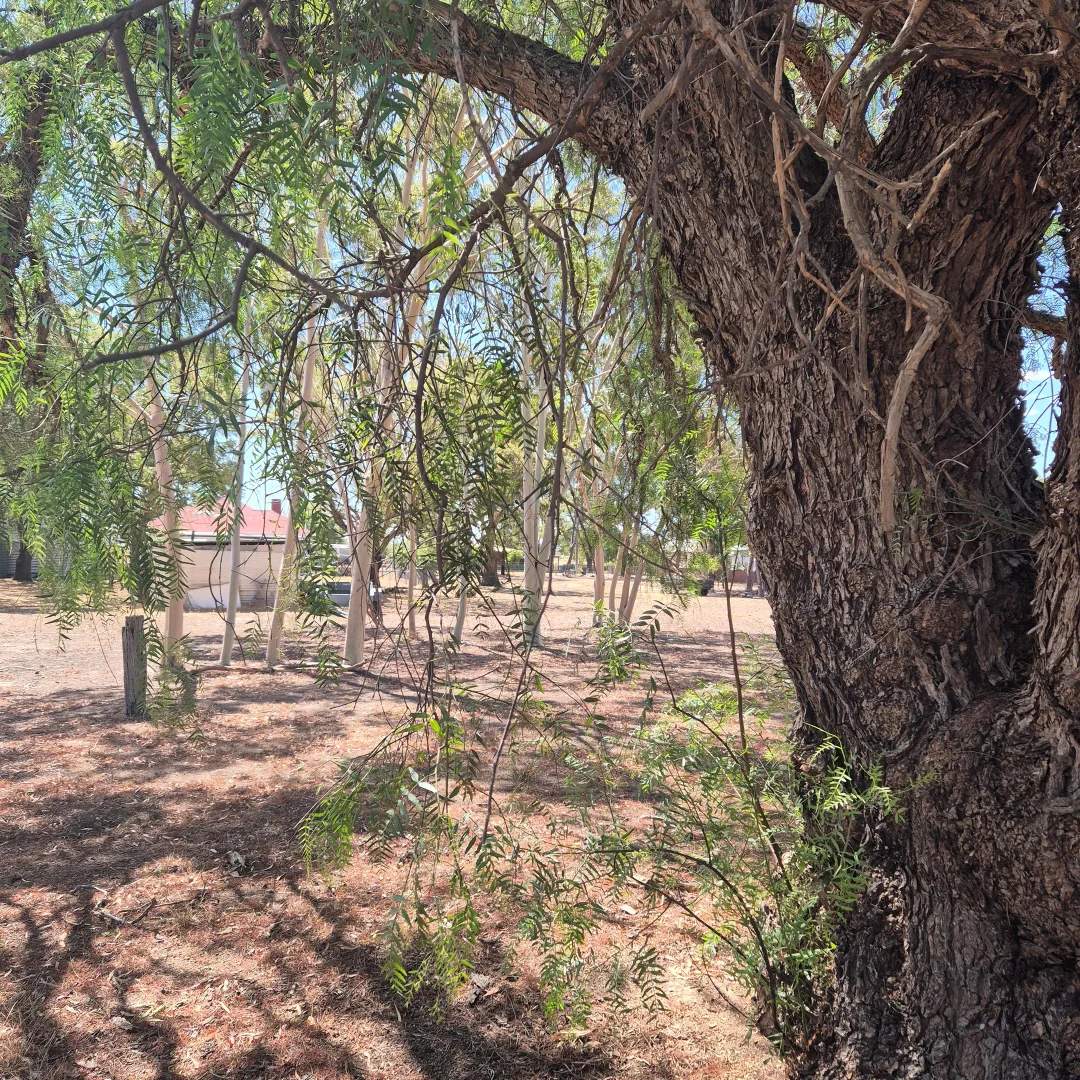 Additional image 24 of 20 Astbury Street, Avoca VIC 3467