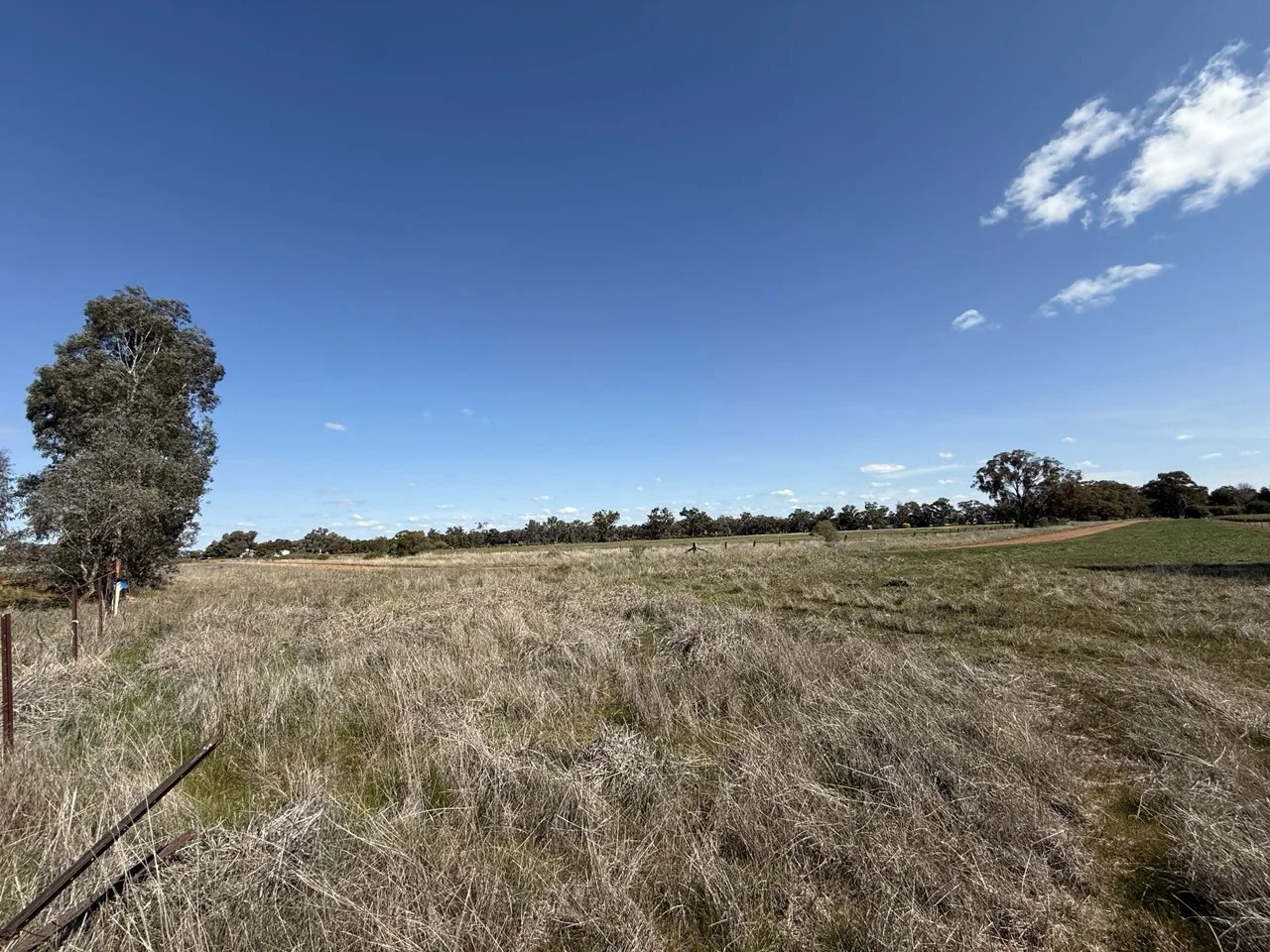 Additional image 5 of 44 Dows Lane, Peak Hill NSW 2869