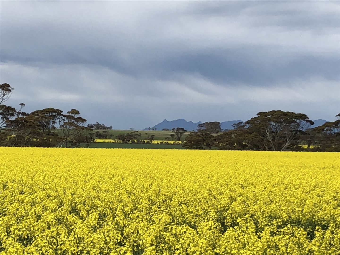 Gnowangerup WA 6335, Image 0