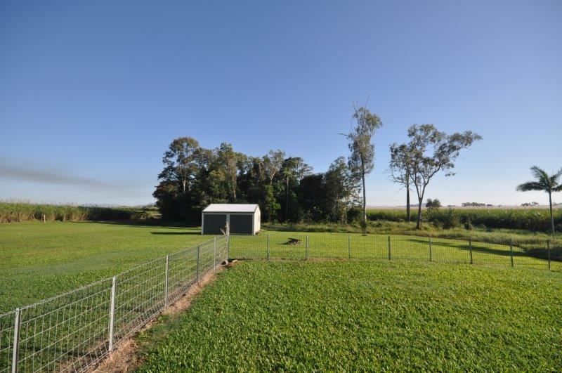 251 Four Mile Road, Victoria Plantation QLD 4850, Image 1